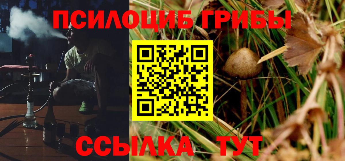 Галлюциногенные грибы Magic Shrooms Заречный