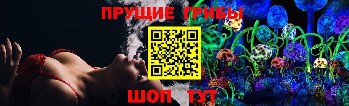 Галлюциногенные грибы MAGIC MUSHROOMS  Вход с VPN  купить наркотики цена  Заречный 
